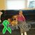 Teri Healey Warke's profile image