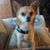 Wendy Hawthorne's profile image