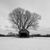 Pat Basler's profile image
