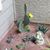 Marley Goyette's profile image