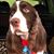 Sandi Scott's profile image