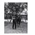 Armando Urbina's profile image