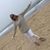 Sonja Wagner Daniels's profile image
