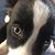 Mary Lou Emmerick Griffin's profile image