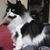 Julia Belyea's profile image