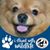 Bobbie Powell's profile image