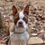 Pat Colson's profile image