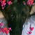 Liz Dalfo's profile image
