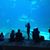 Jennifer Sutch's profile image