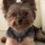 Patricia S Harris's profile image