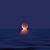 Misty Tolleson Lamarre's profile image
