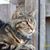 Sheryl Ashworth's profile image