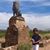 Michelle Johnson's profile image