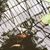 Paz Giron's profile image
