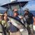 Bigfish Sgi's profile image
