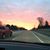 Patti McCullough's profile image