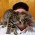 Anthony Ray Livingston's profile image