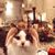 Melinda White Ross's profile image
