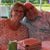 Dawn Janusch's profile image