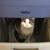 Susan Paquette Bennett's profile image