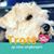 Bianca Boer's profile image
