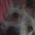 Adam Fayette Jr.'s profile image