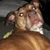 Brittany Parker's profile image