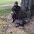 Matt Branch's profile image