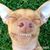 Sanya Barker Haralson's profile image