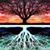 Patricia Bergeron's profile image