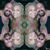 Sheila Smith's profile image
