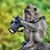 Rocky Velasquez's profile image