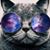 Robert Tingey's profile image