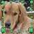 Marcia Gillon's profile image