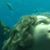 Katherine Fisher's profile image