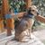 Linda Crissy-Schmidt's profile image
