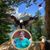 Gail Norton Strickland's profile image