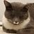 Theresa Hartsell's profile image