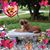 Rita Mosbacher Biffar's profile image