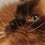 Shannon Woodall's profile image