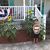 Trisha Sokolik's profile image