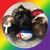 Stefanie Araki's profile image