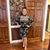 Amanda Nelson Troyer's profile image