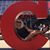 Tina Werner Lytle's profile image