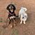 Beverly Langner Fletcher's profile image