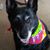 Terri Kay Crosby's profile image