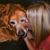 Missy Gousha's profile image