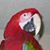 Lori Boyle Hale's profile image