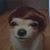 Tom Newton's profile image
