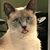 Olive Dugan's profile image